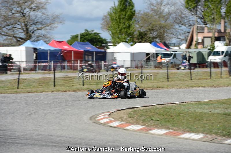DSC_3371.jpg