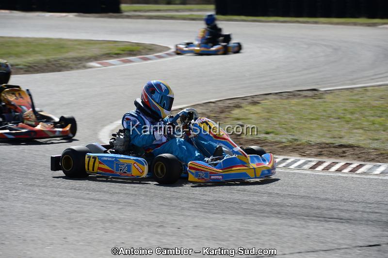 DSC_3384.jpg