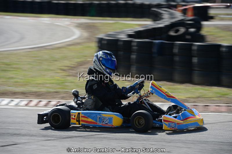 DSC_3385.jpg