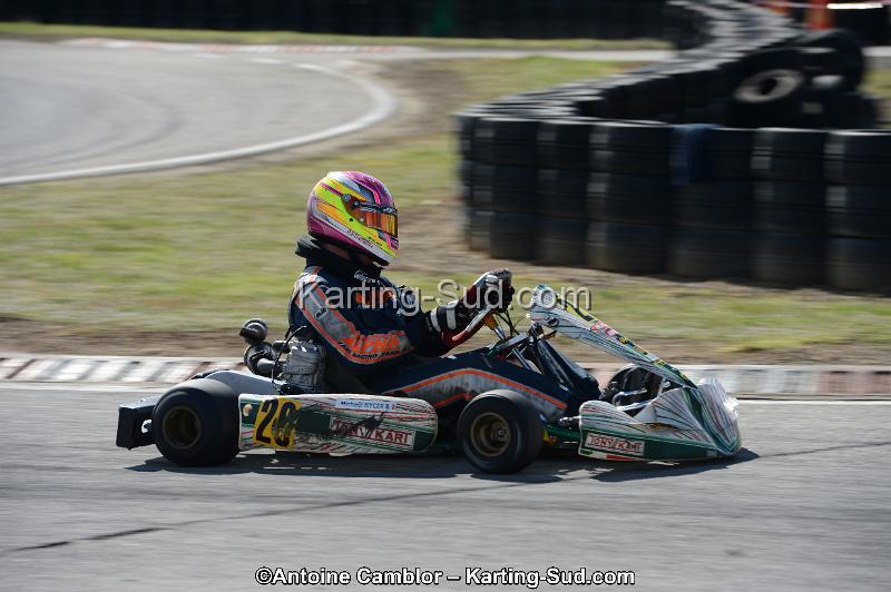DSC_3386.jpg