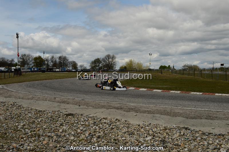 DSC_3697.jpg