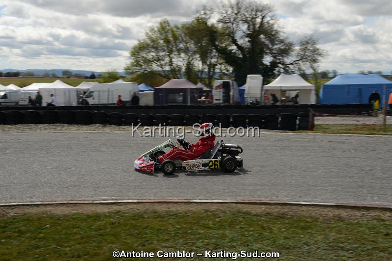 DSC_3733.jpg