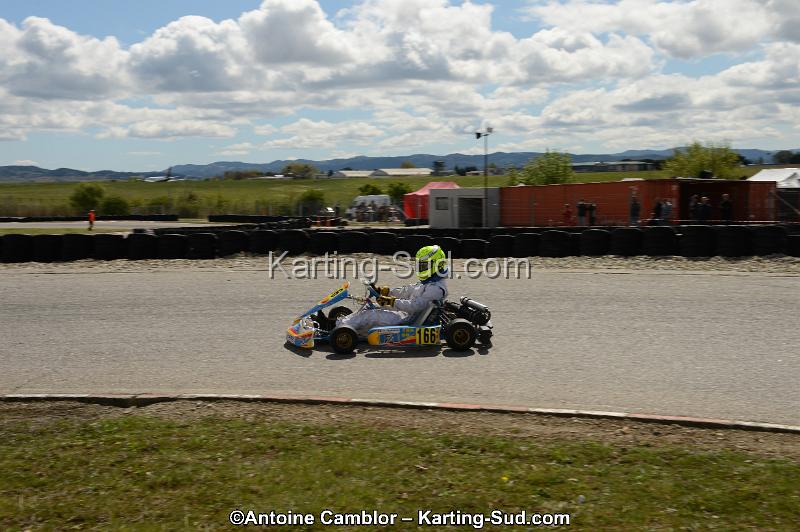 DSC_3738.jpg