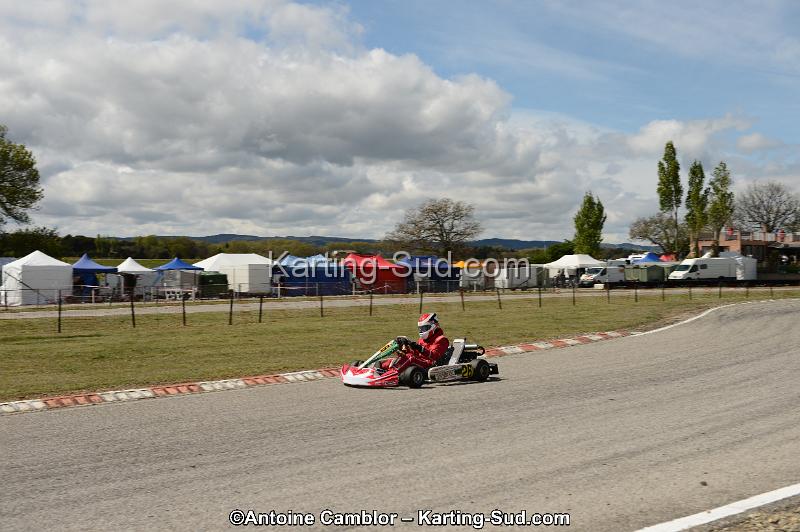 DSC_3752.jpg
