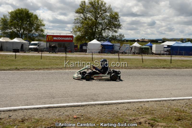 DSC_3771.jpg
