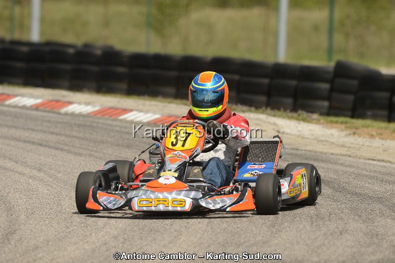 DSC_4351.jpg