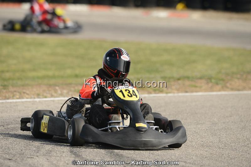 DSC_4533.jpg