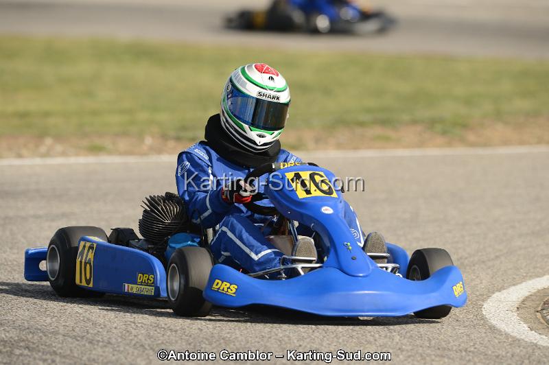 DSC_4543.jpg