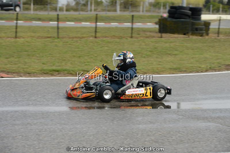 DSC_4931.jpg