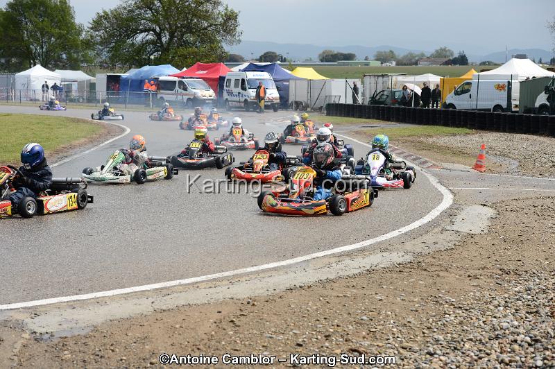 DSC_5464.jpg