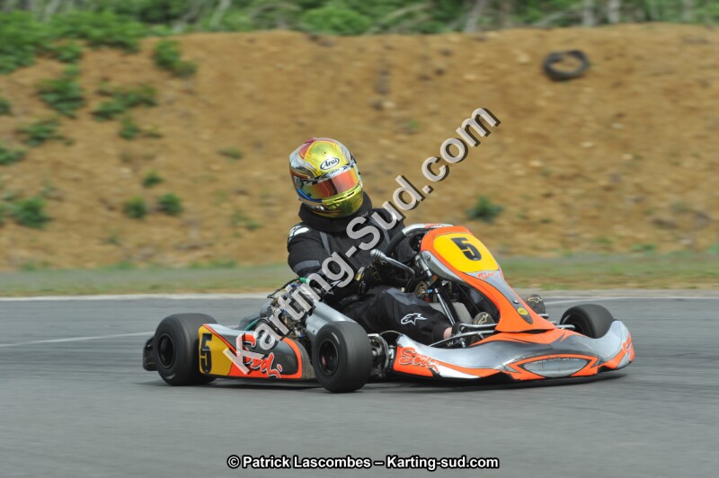 DSC_4768.JPG