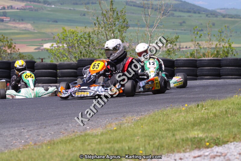 IMG_8262.JPG