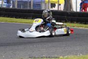IMG_7981