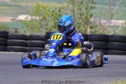 IMG_8117