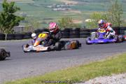 IMG_8223