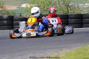 IMG_8291