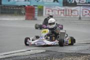 _DSC7901