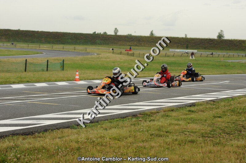 DSC_7781.jpg