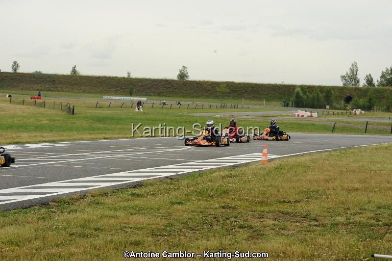 DSC_7780.jpg