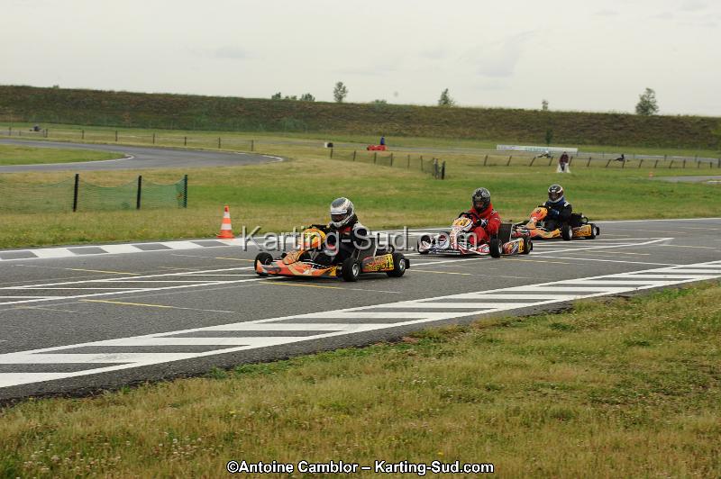 DSC_7781.jpg