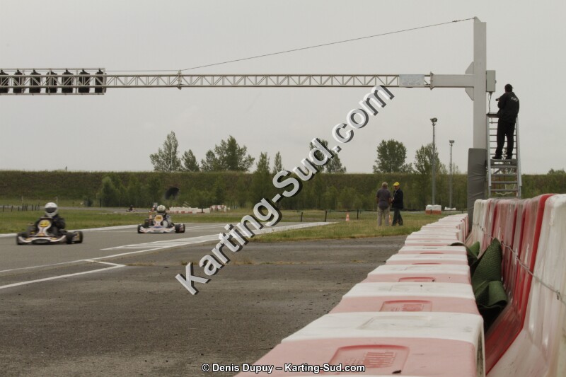 _MG_9118_IJFR.jpg