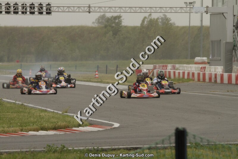 _MG_9135_IJFR.jpg