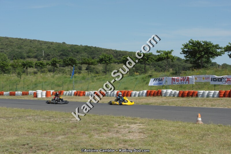 DSC_8466.jpg