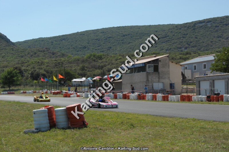 DSC_8516.jpg