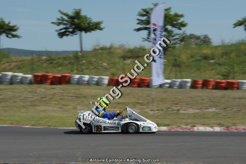 DSC_8547.jpg