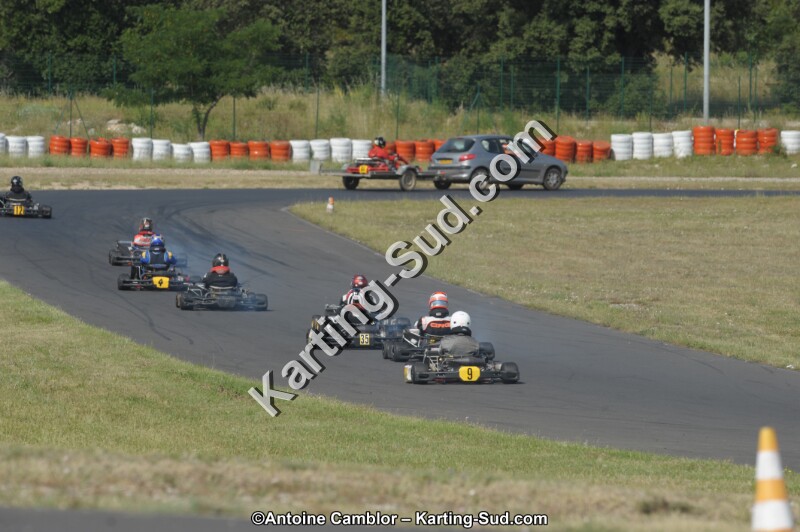 DSC_8616.jpg