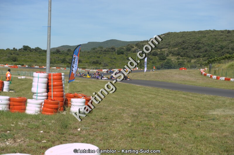 DSC_9181.jpg