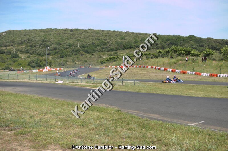 DSC_9206.jpg