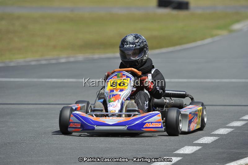 _DSC9686.JPG