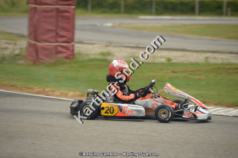 _DSC8633.jpg