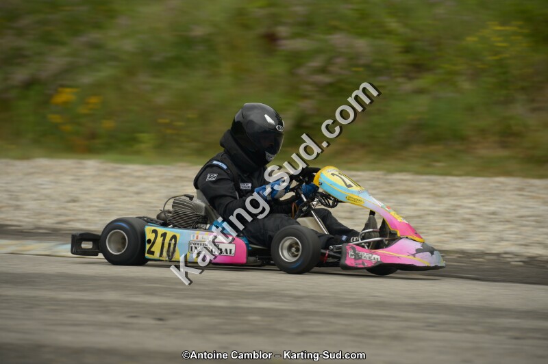 _DSC8764.jpg
