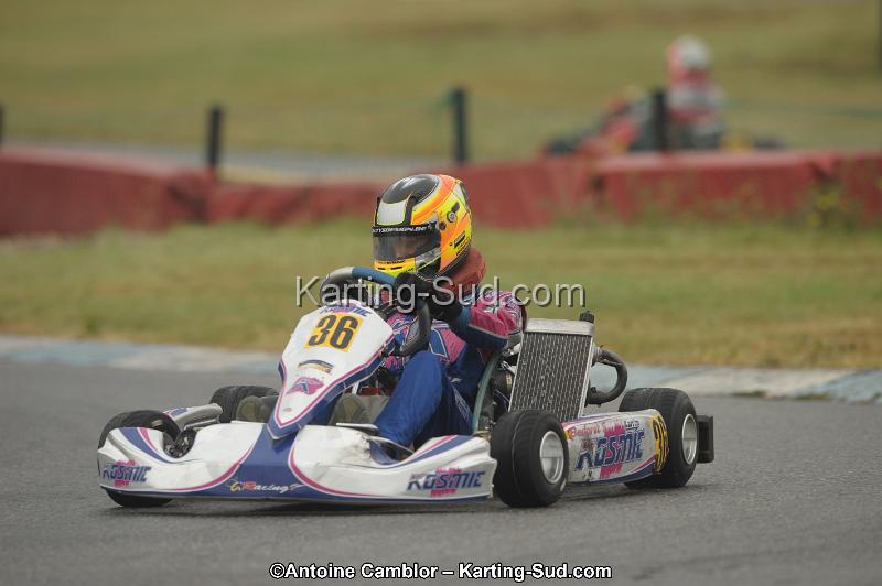 DSC_9388.jpg