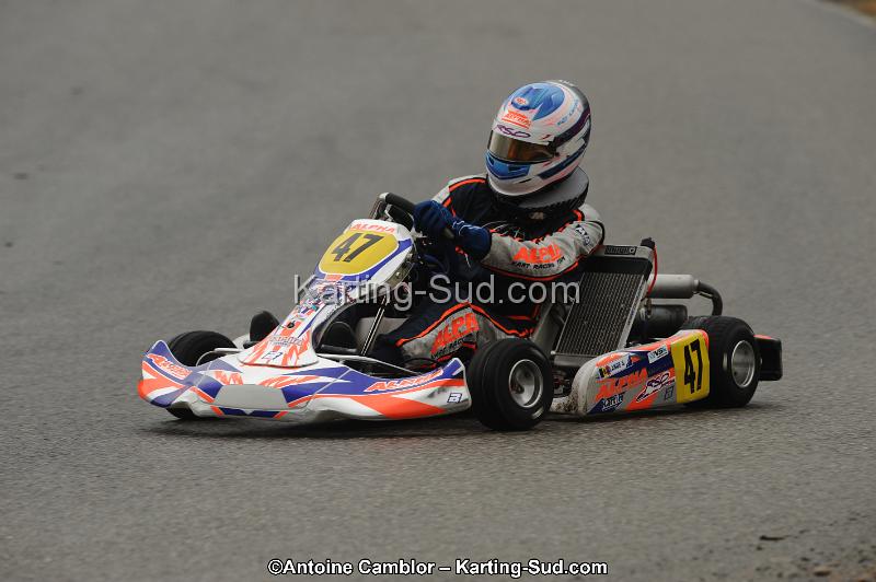 DSC_9532.jpg