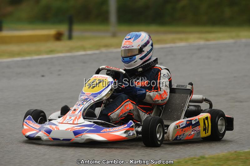 DSC_9537.jpg