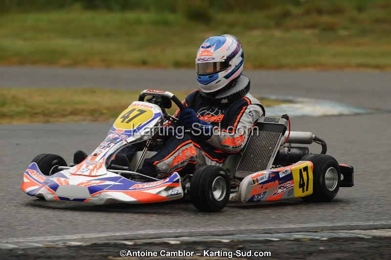 DSC_9541.jpg