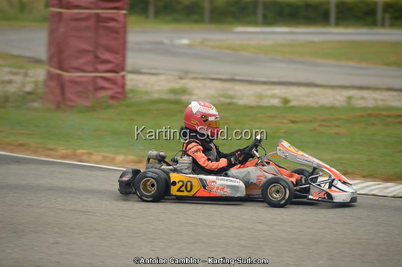 _DSC8633.jpg