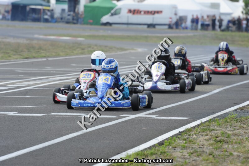 _DSC8555.JPG