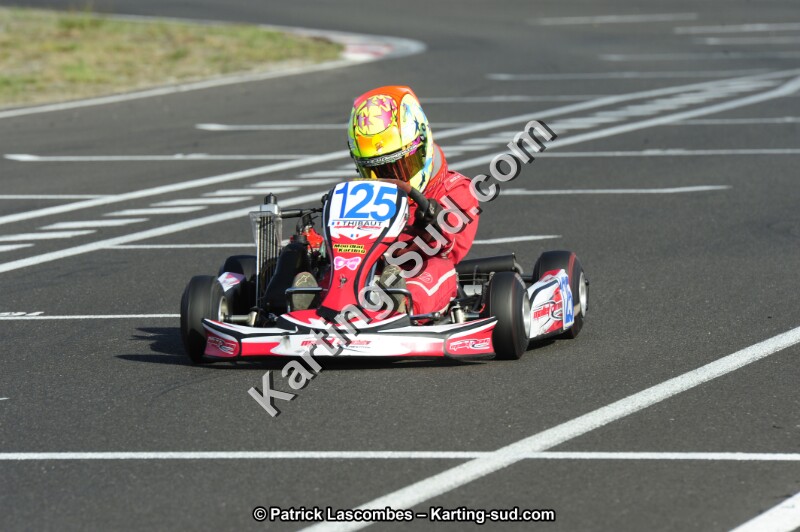 _DSC8787.JPG