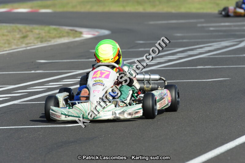 _DSC8878.JPG