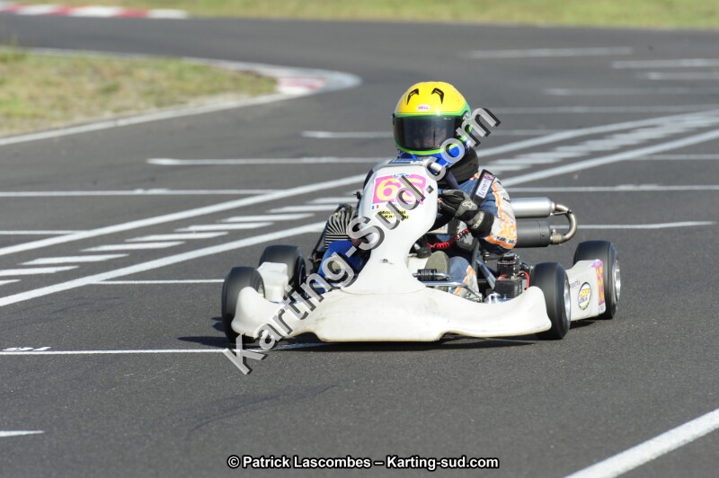 _DSC8885.JPG