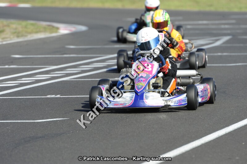 _DSC8887.JPG