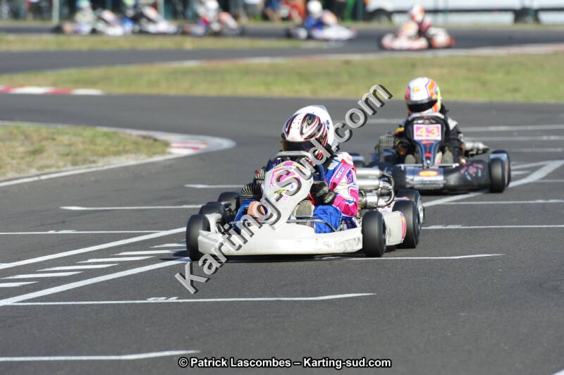 _DSC8895.JPG