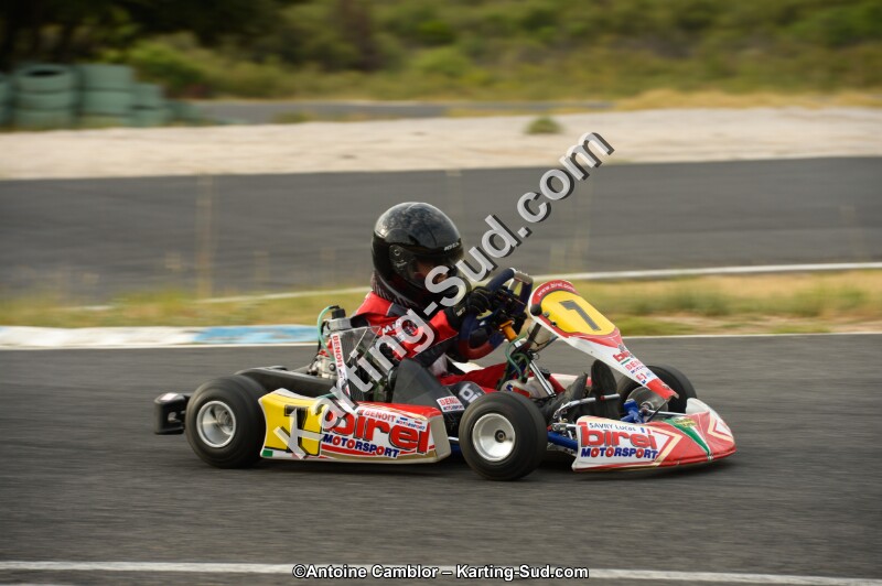 _DSC2391.jpg