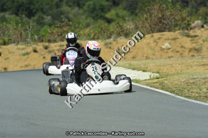 _DSC2007.JPG