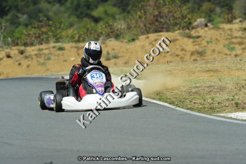 _DSC2008.JPG