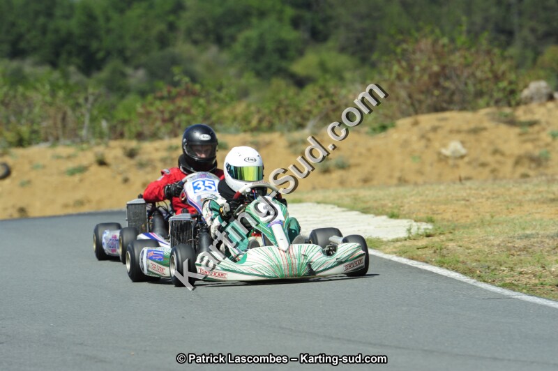 _DSC2012.JPG